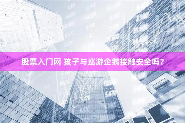 股票入门网 孩子与巡游企鹅接触安全吗？