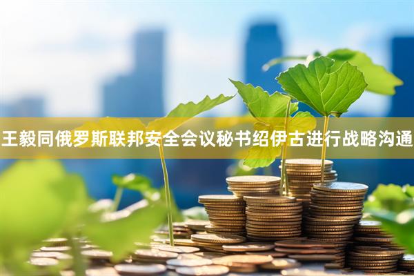 王毅同俄罗斯联邦安全会议秘书绍伊古进行战略沟通