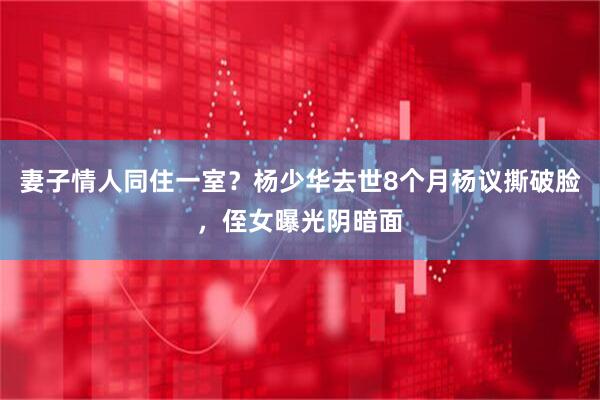 妻子情人同住一室？杨少华去世8个月杨议撕破脸，侄女曝光阴暗面