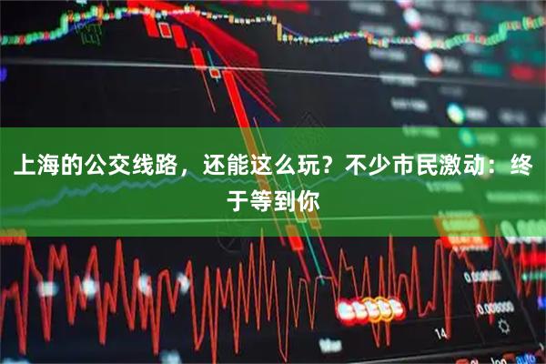 上海的公交线路，还能这么玩？不少市民激动：终于等到你