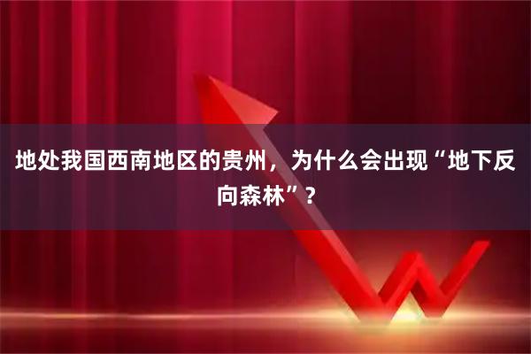 地处我国西南地区的贵州，为什么会出现“地下反向森林”？